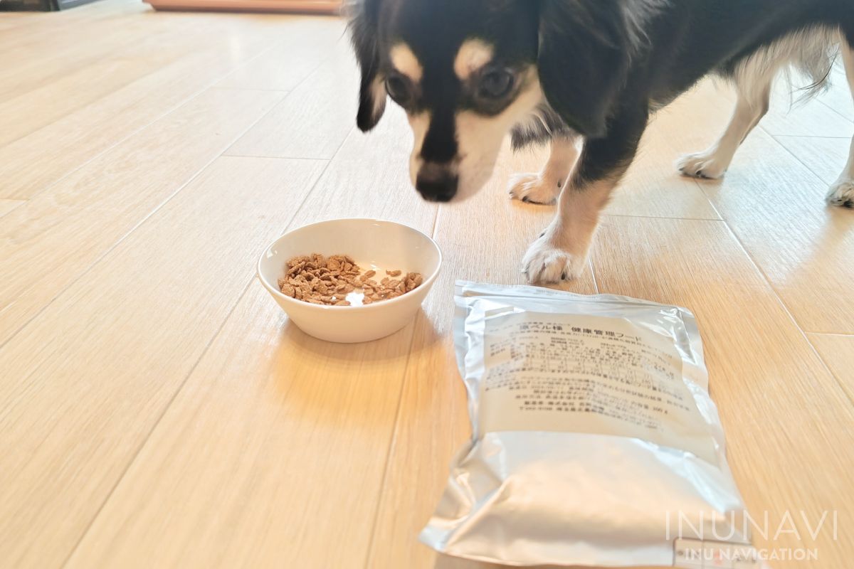 吉岡油糧　フレーク粒を食べる愛犬 (6)